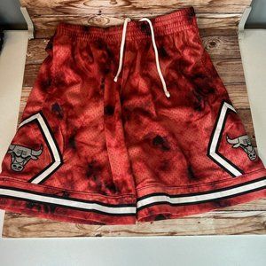 Mitchell & Ness Chicago Bulls Reflective Red Hardwood Swingman Shorts Sizes